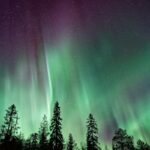 silhouette of trees near Aurora Borealis at night
