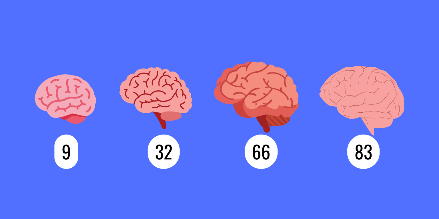 Visualization of human brain changes at four major stages.