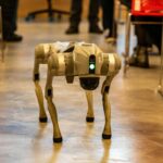 A robotic dog navigates an indoor setting amidst red chairs, showcasing technology in modern environments.