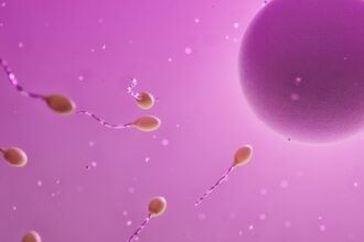 ovum, sperm, fertilization, egg cell, reproduction, ovum, sperm, sperm, sperm, sperm, sperm