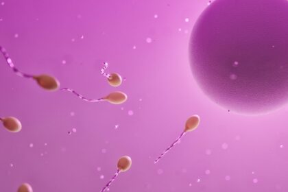 ovum, sperm, fertilization, egg cell, reproduction, ovum, sperm, sperm, sperm, sperm, sperm