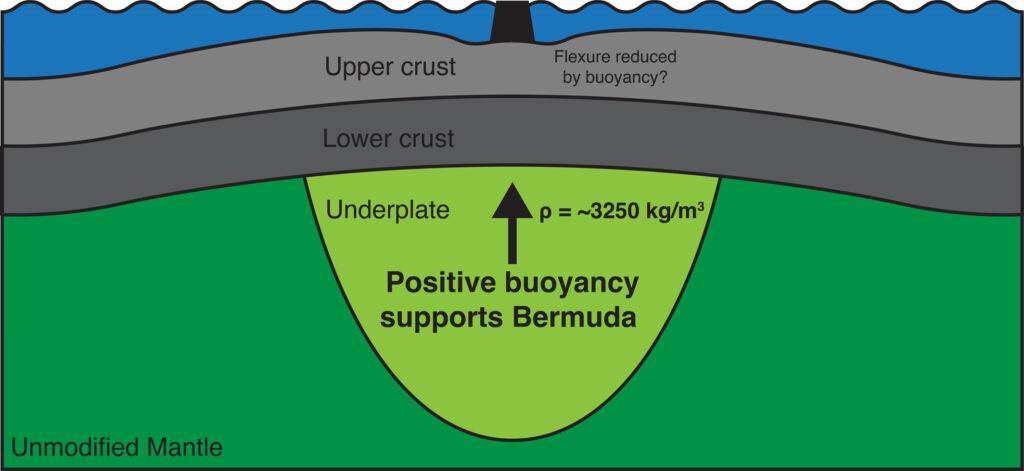 Seismic imaging of Bermuda revealing the unusually thick rock layer beneath the oceanic crust