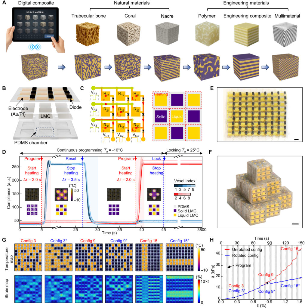 Diagram showing a modular block with 27 internal chambers that can switch between solid and liquid states to reconfigure mechanical stiffness from Duke University research