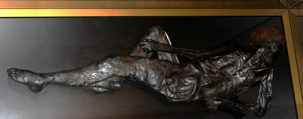 Grauballe Man bog body on display at Moesgaard Museum, Denmark