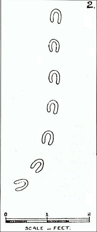 A newspaper illustration from 1855 showing the hoof-like devil footprints reported across Devon, England