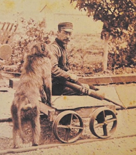 Sepia photograph of James Wide sitting in a wooden trolley with Jack the baboon standing beside him at Uitenhage railway station, before 1890