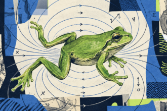 Frog floating experiment illustration